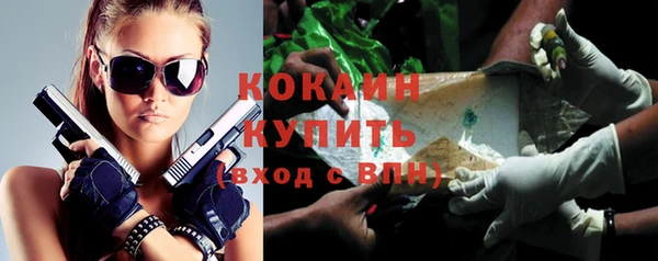 бутират Инсар