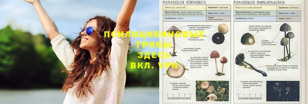 метадон Зеленодольск
