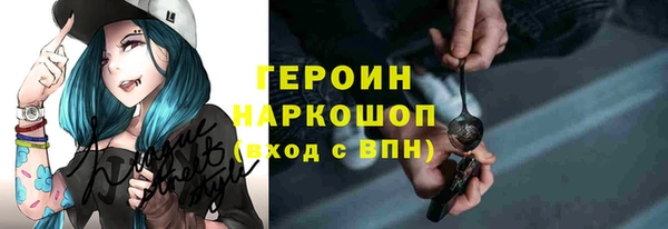 прущие грибы Инта