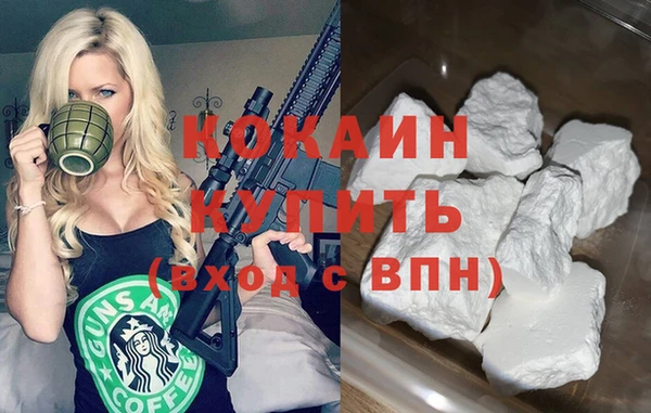 прущие грибы Инта