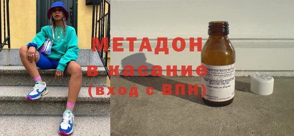 прущие грибы Инта