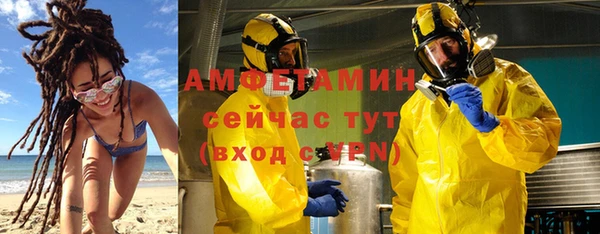 прущие грибы Инта