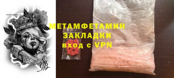 прущие грибы Инта
