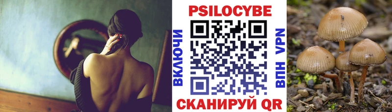 Купить  Вуктыл  Галлюциногенные грибы Psilocybine cubensis 